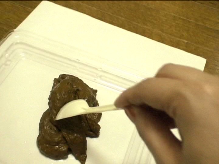 サンプル画像 5