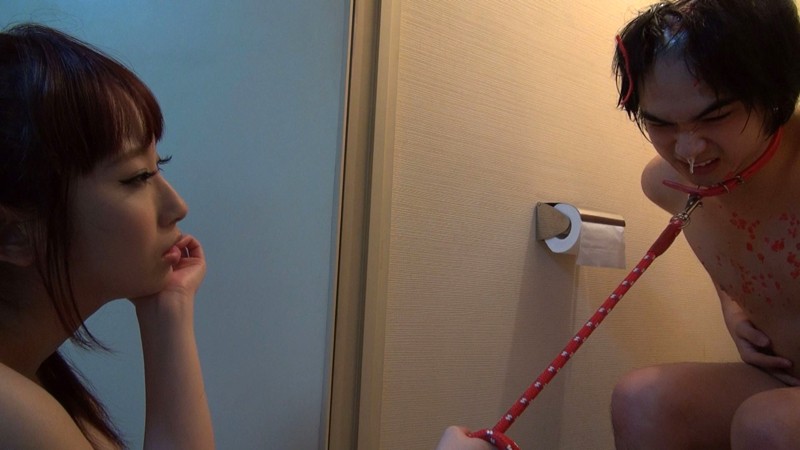 サンプル画像 12