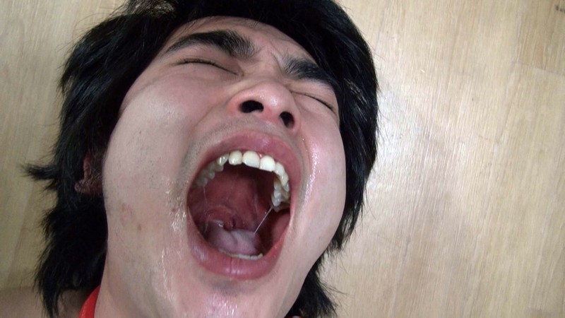 サンプル画像 6