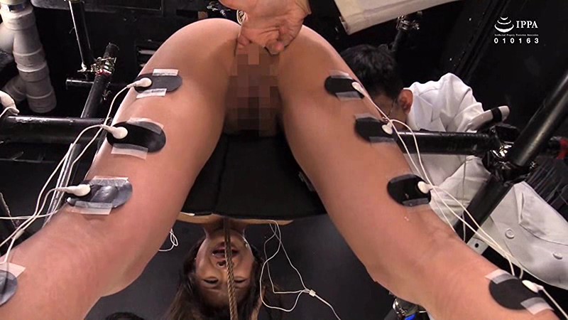 サンプル画像 6