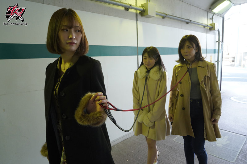 サンプル画像 4