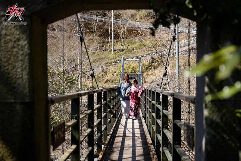 サンプル画像 9