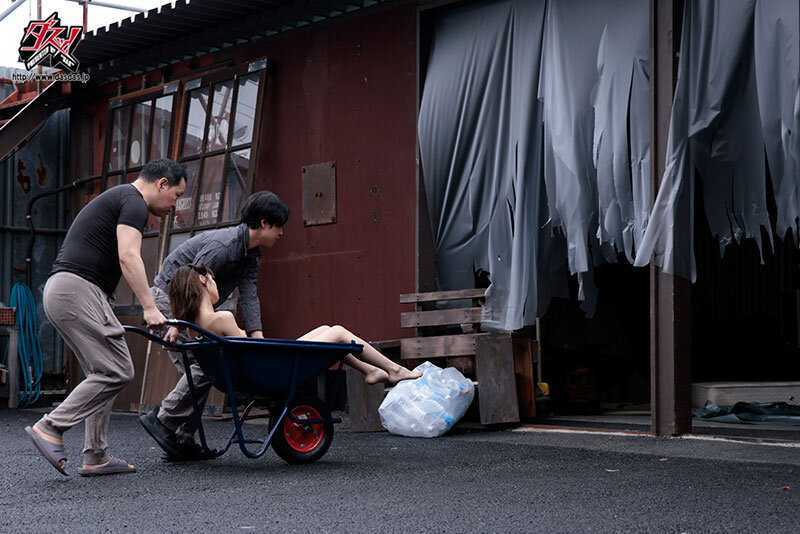 サンプル画像 3