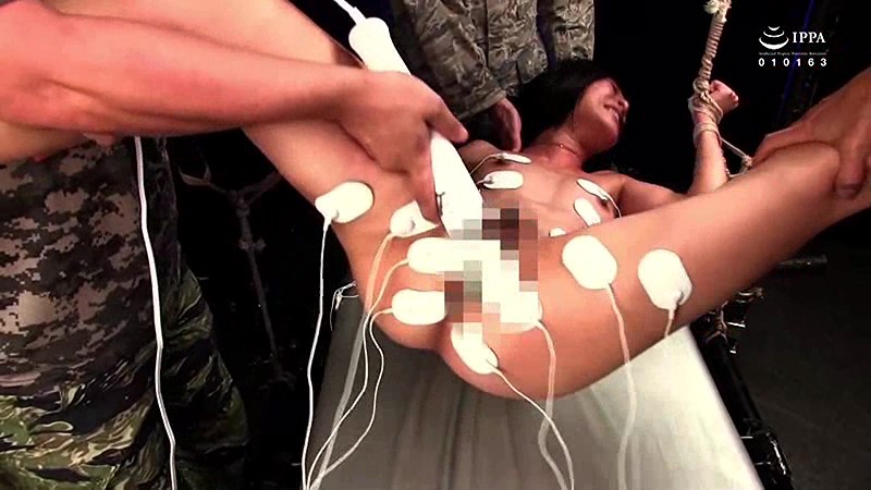 サンプル画像 14