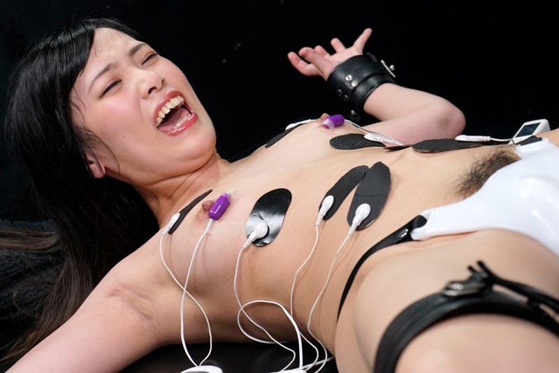 サンプル画像 6