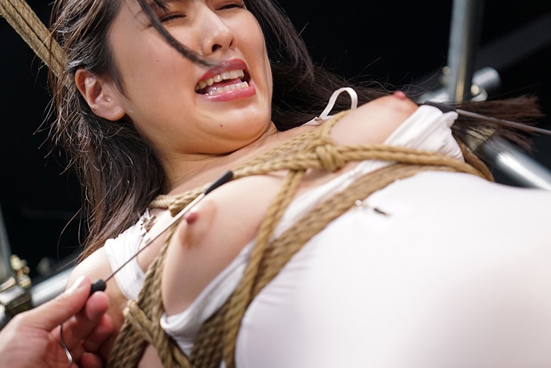 サンプル画像 10