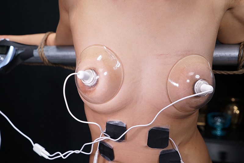 サンプル画像 10