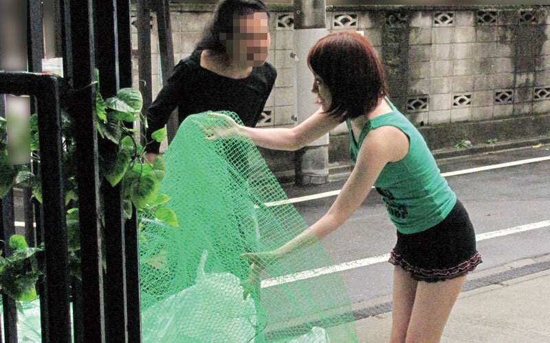 サンプル画像 17