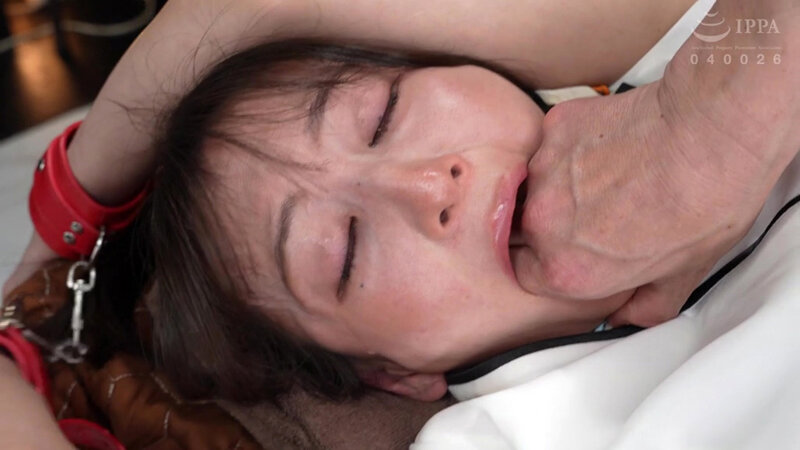 サンプル画像 3