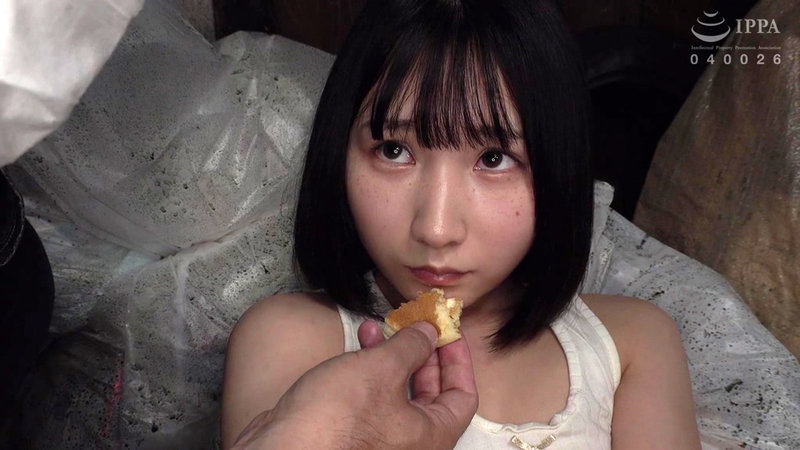 サンプル画像 3