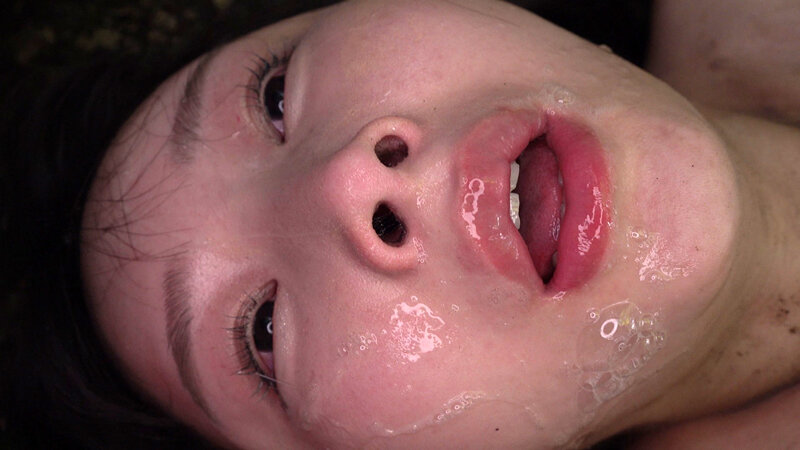 サンプル画像 12