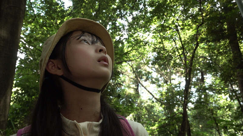 サンプル画像 4