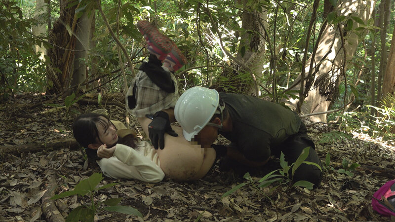 サンプル画像 5