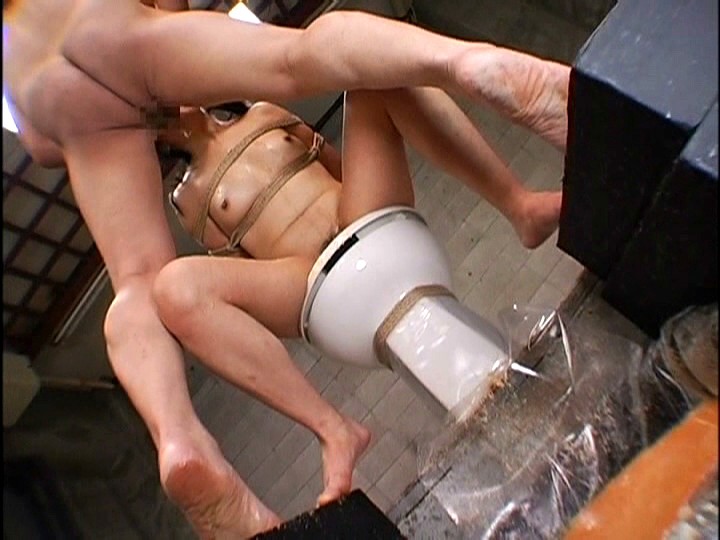 サンプル画像 7