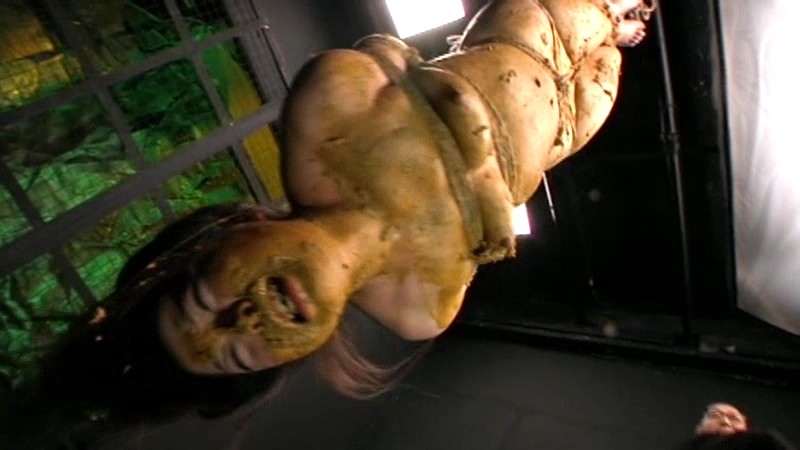 サンプル画像 17