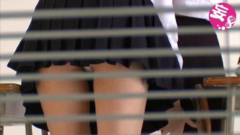 サンプル画像 11