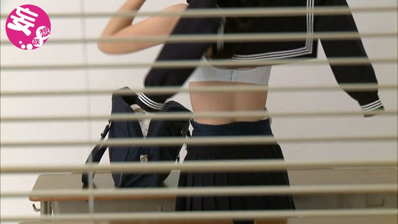 サンプル画像 8