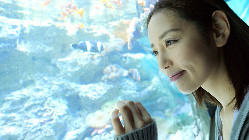 サンプル画像 2