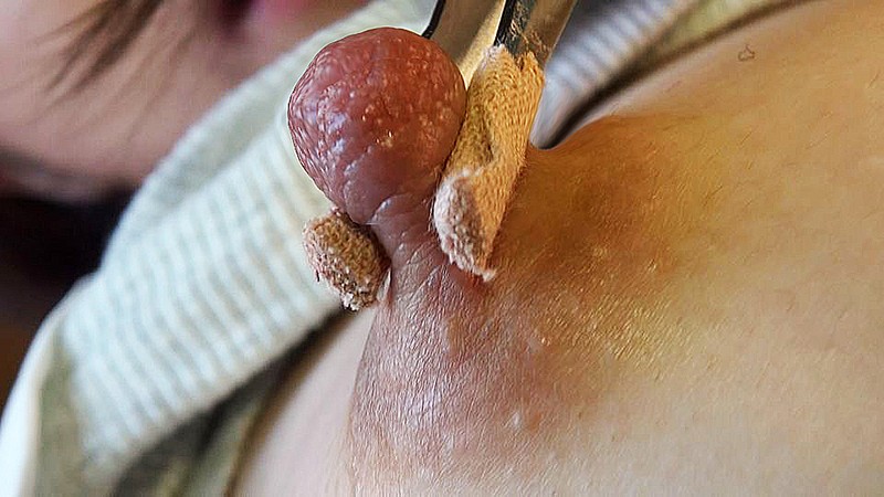 サンプル画像 4