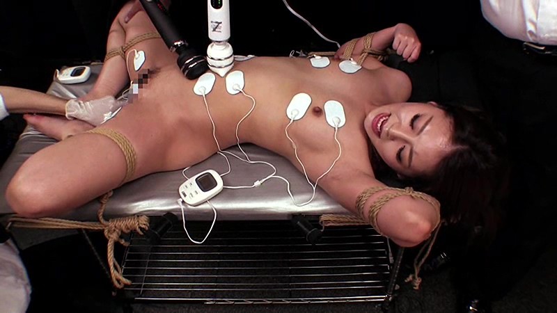 サンプル画像 13