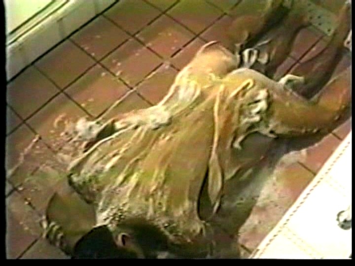 サンプル画像 12