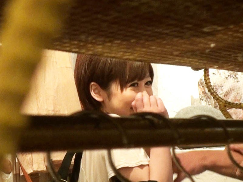 サンプル画像 16