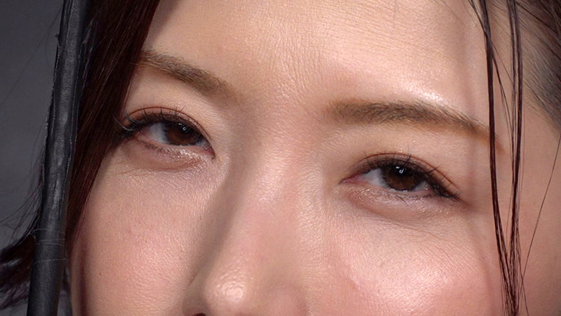 サンプル画像 11