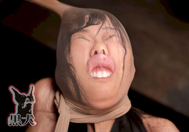 サンプル画像 13