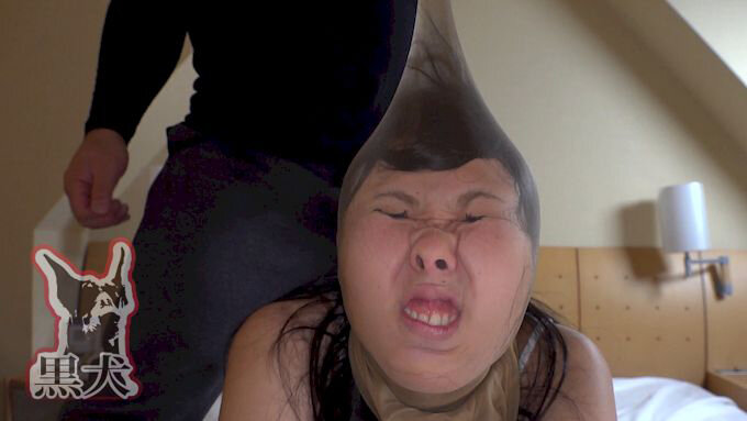 サンプル画像 5