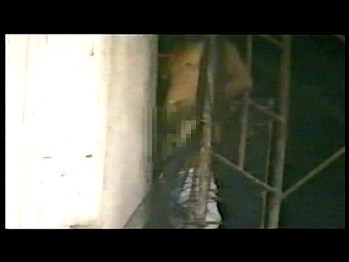 サンプル画像 11