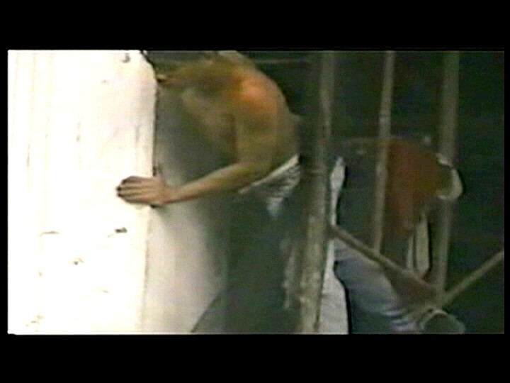 サンプル画像 12