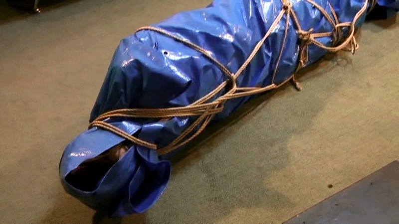 サンプル画像 20