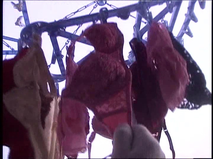 サンプル画像 20