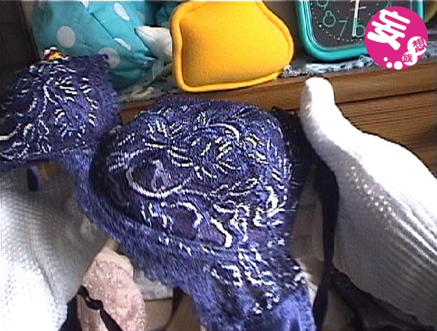 サンプル画像 6