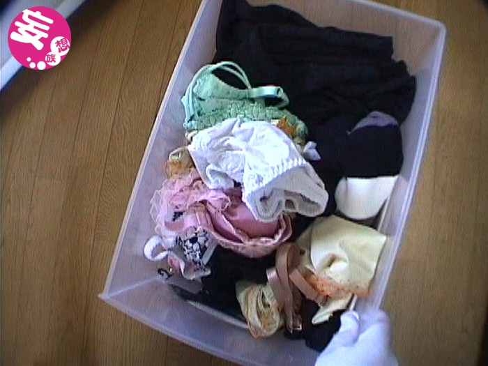 サンプル画像 11