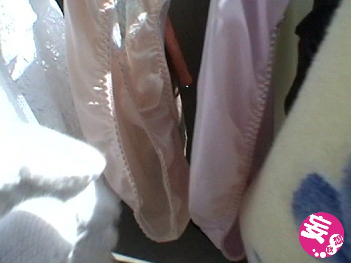 サンプル画像 9