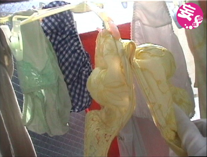 サンプル画像 8