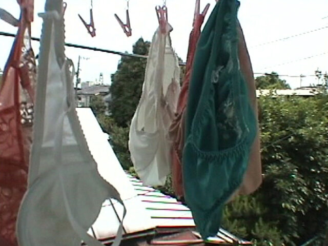 サンプル画像 20