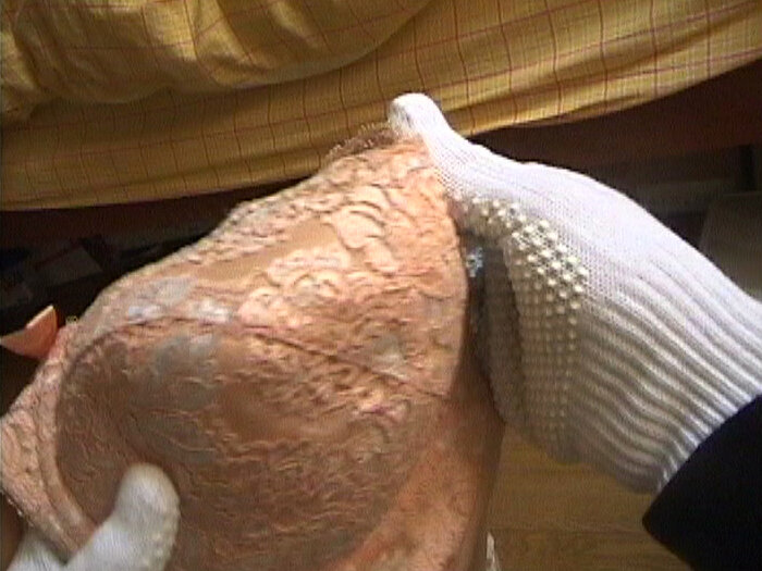 サンプル画像 15