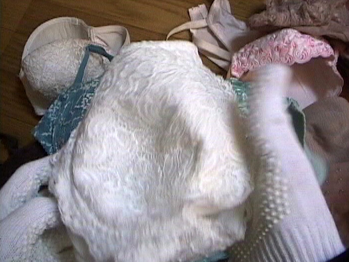 サンプル画像 16