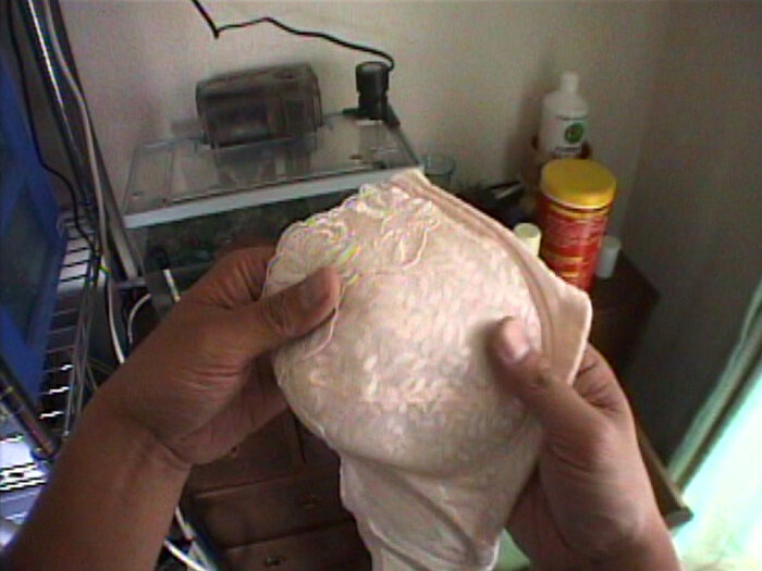 サンプル画像 5