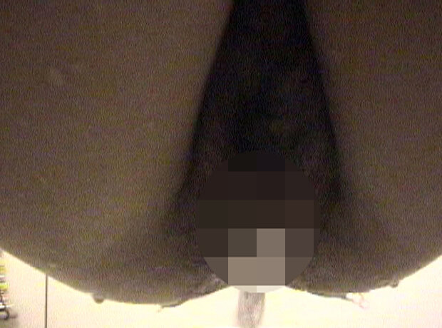 サンプル画像 18