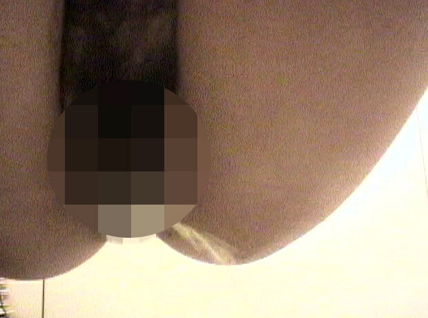 サンプル画像 11