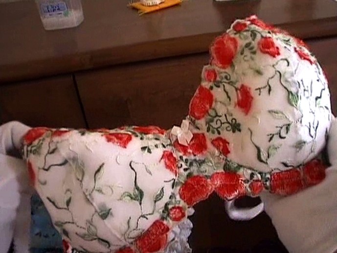 サンプル画像 16