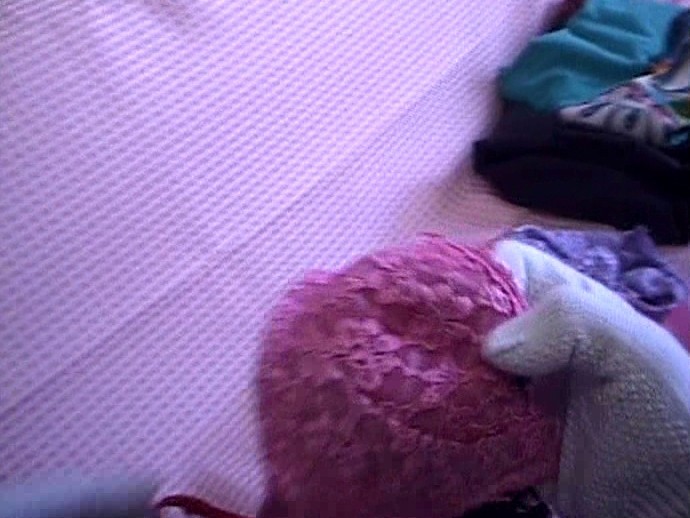 サンプル画像 13