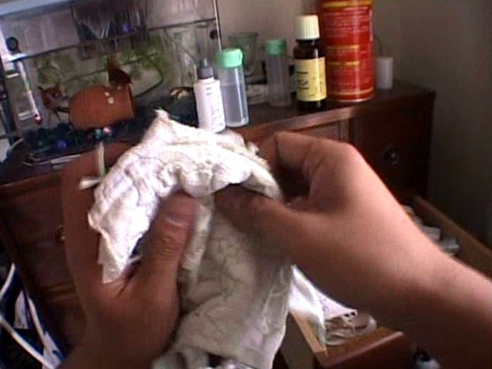 サンプル画像 3