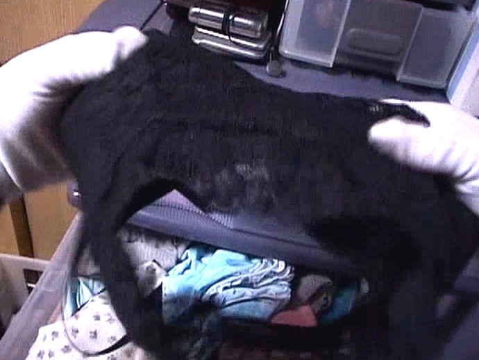 サンプル画像 7