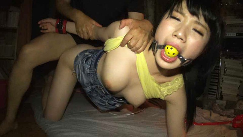 サンプル画像 11