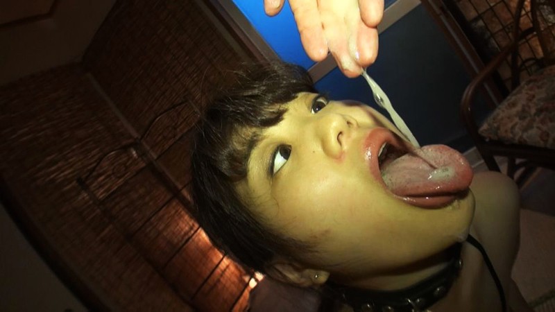 サンプル画像 15