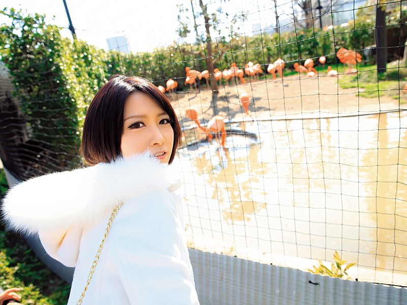 サンプル画像 11